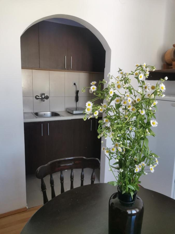 Apartament Faris Donji Milanovac Zewnętrze zdjęcie